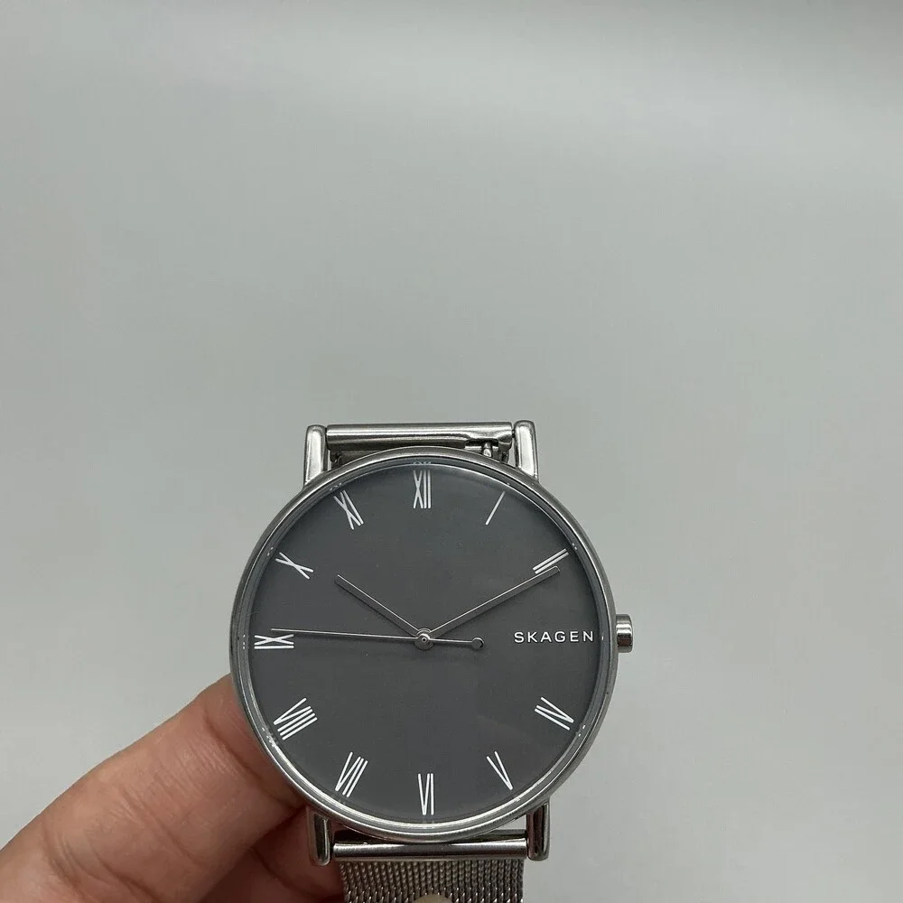 Skagen Signatur Mens Watch 40mm Gray Dial Mesh Stainless Steel New Battery